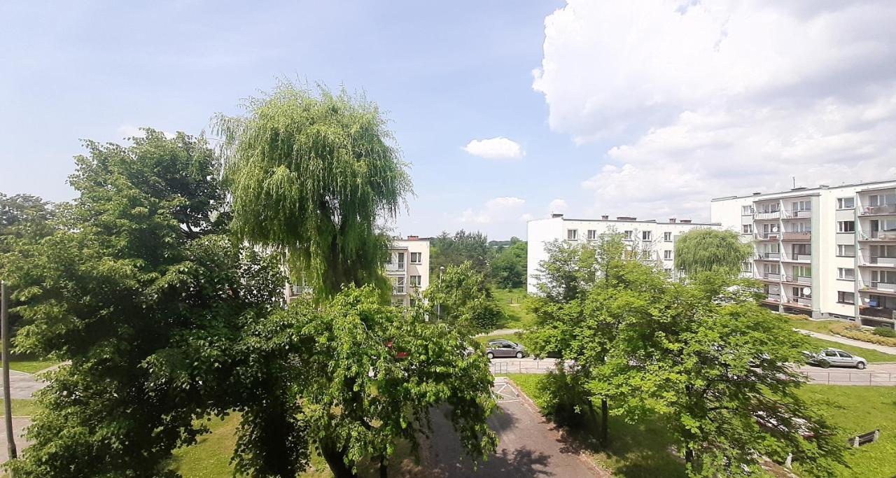 Bursztynowy Apartament Тарновськє-Гури Екстер'єр фото