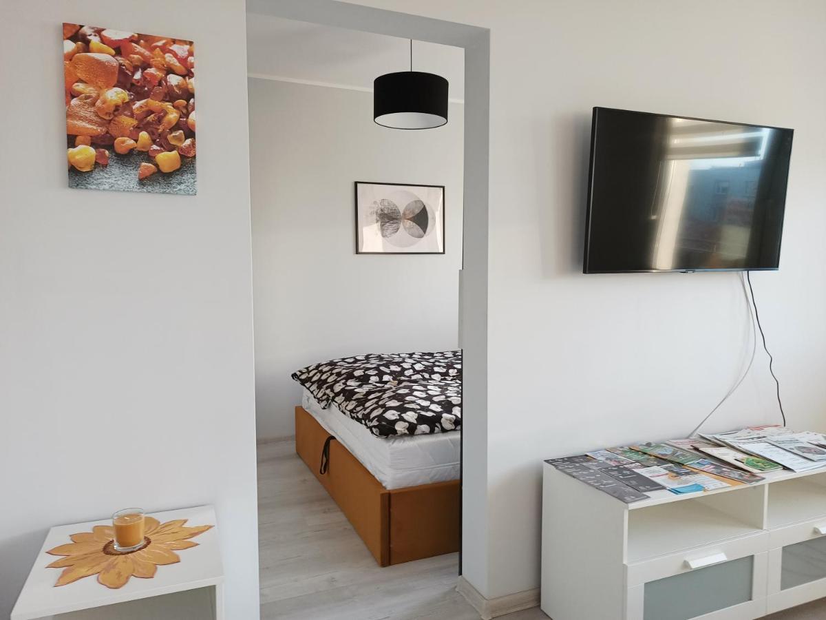 Bursztynowy Apartament Тарновськє-Гури Екстер'єр фото