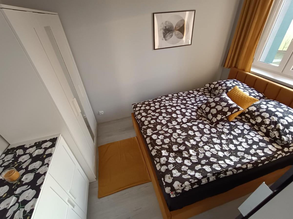 Bursztynowy Apartament Тарновськє-Гури Екстер'єр фото