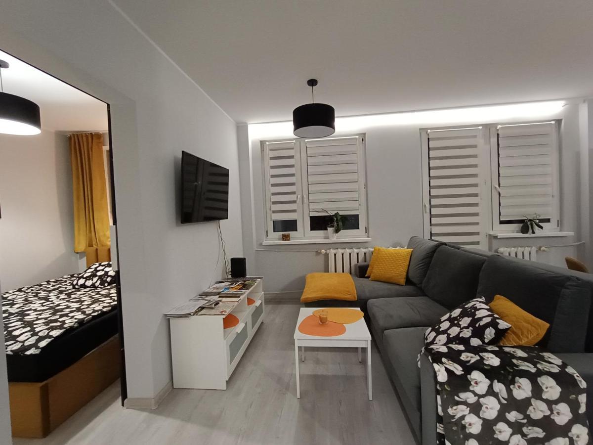 Bursztynowy Apartament Тарновськє-Гури Екстер'єр фото