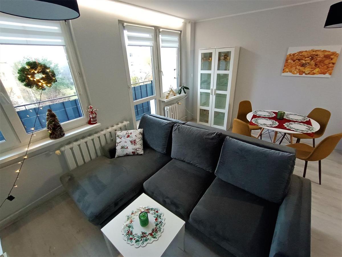 Bursztynowy Apartament Тарновськє-Гури Екстер'єр фото