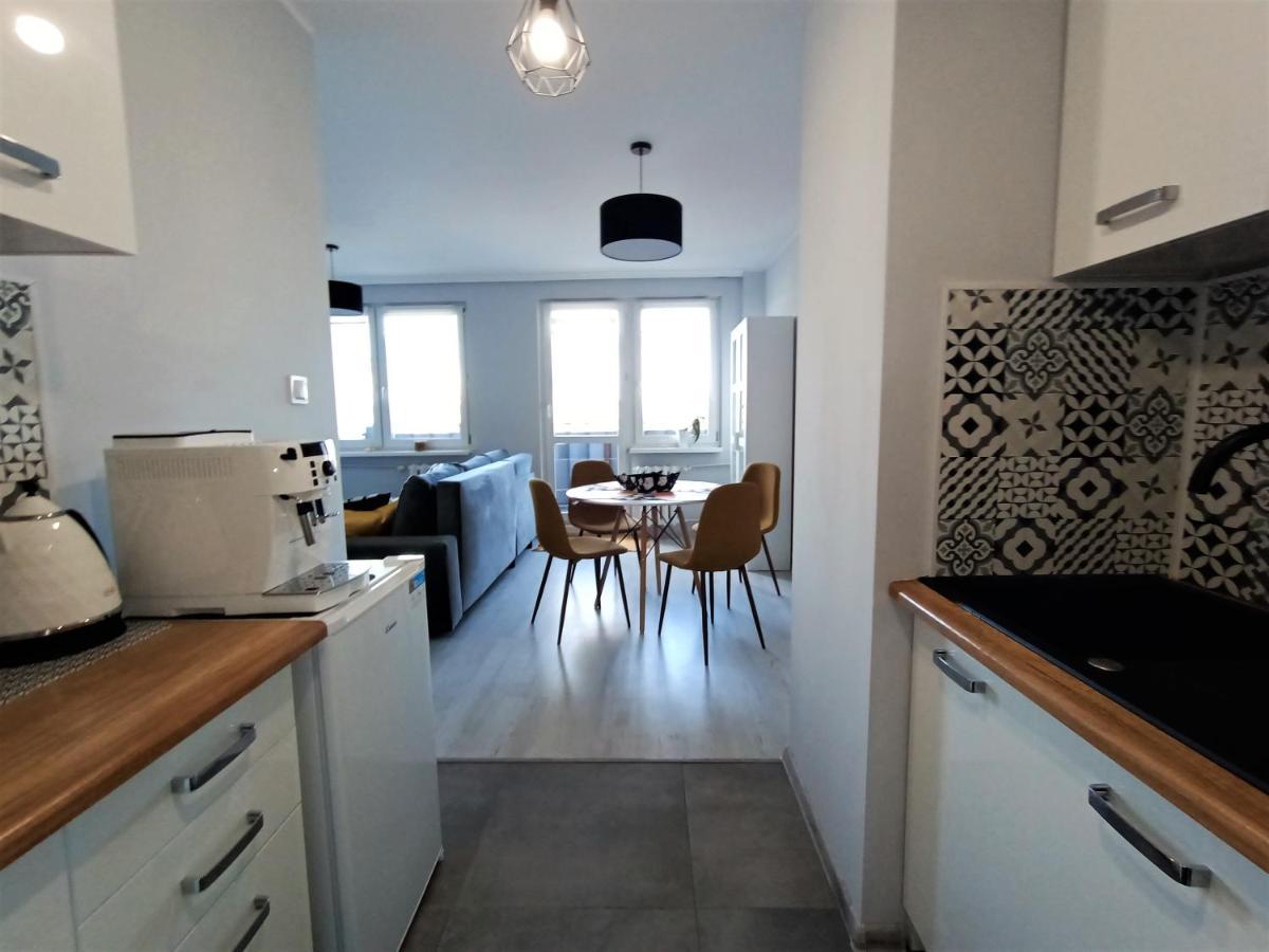 Bursztynowy Apartament Тарновськє-Гури Екстер'єр фото