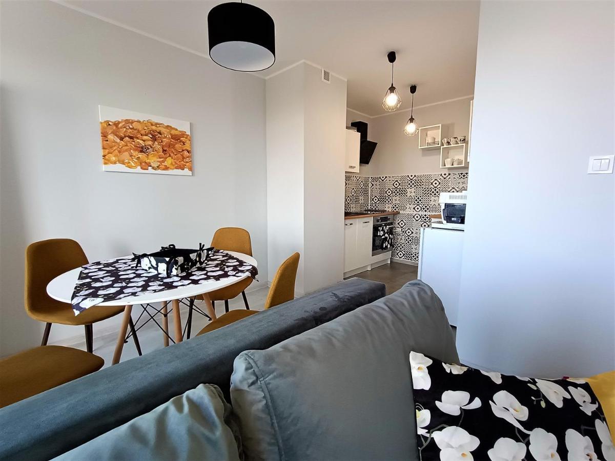 Bursztynowy Apartament Тарновськє-Гури Екстер'єр фото