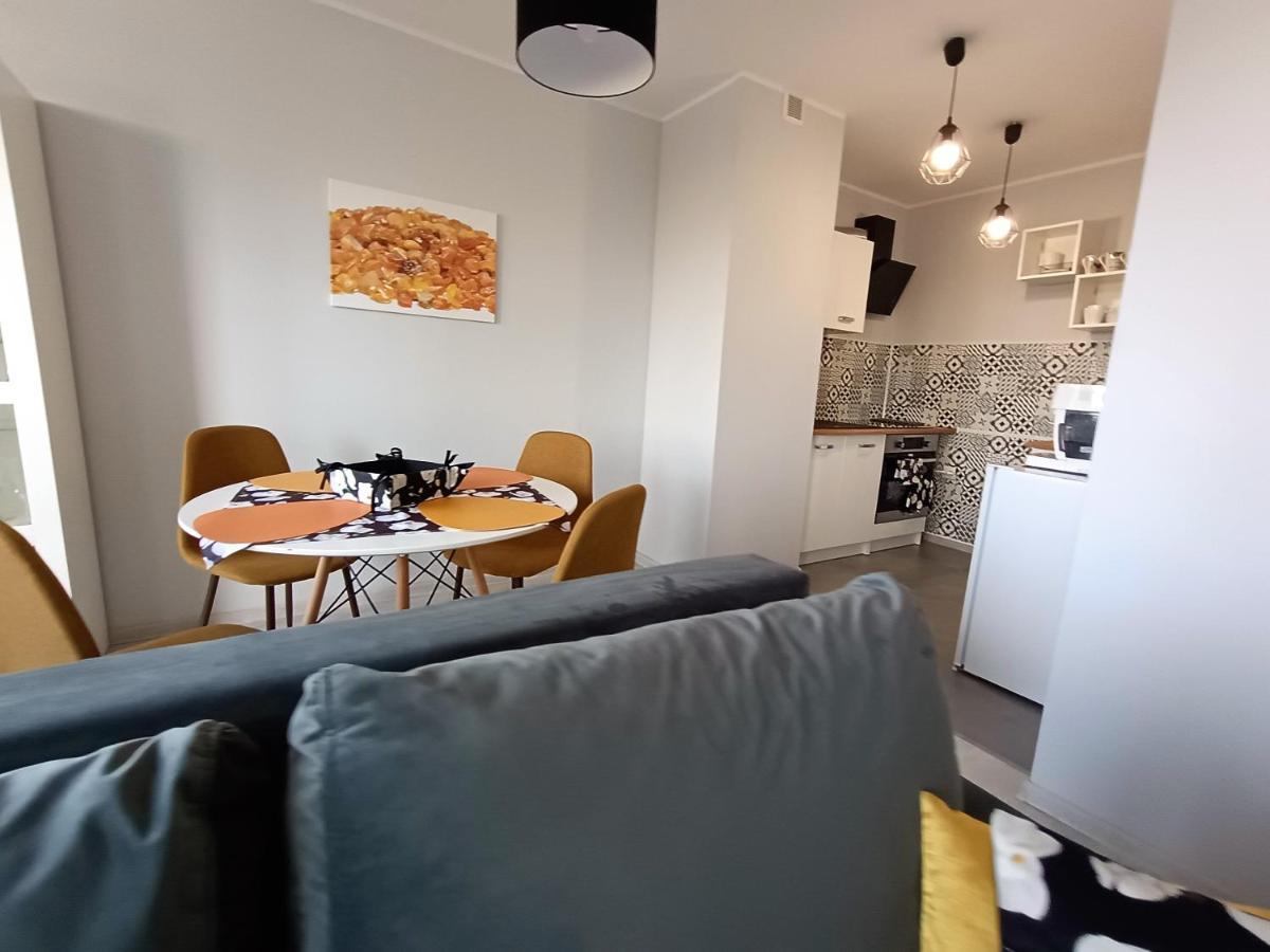 Bursztynowy Apartament Тарновськє-Гури Екстер'єр фото