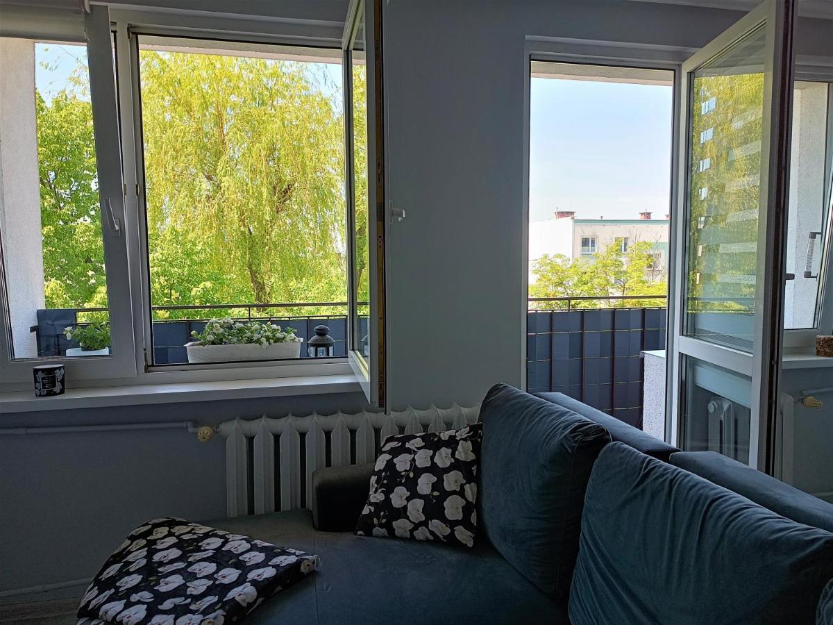 Bursztynowy Apartament Тарновськє-Гури Екстер'єр фото