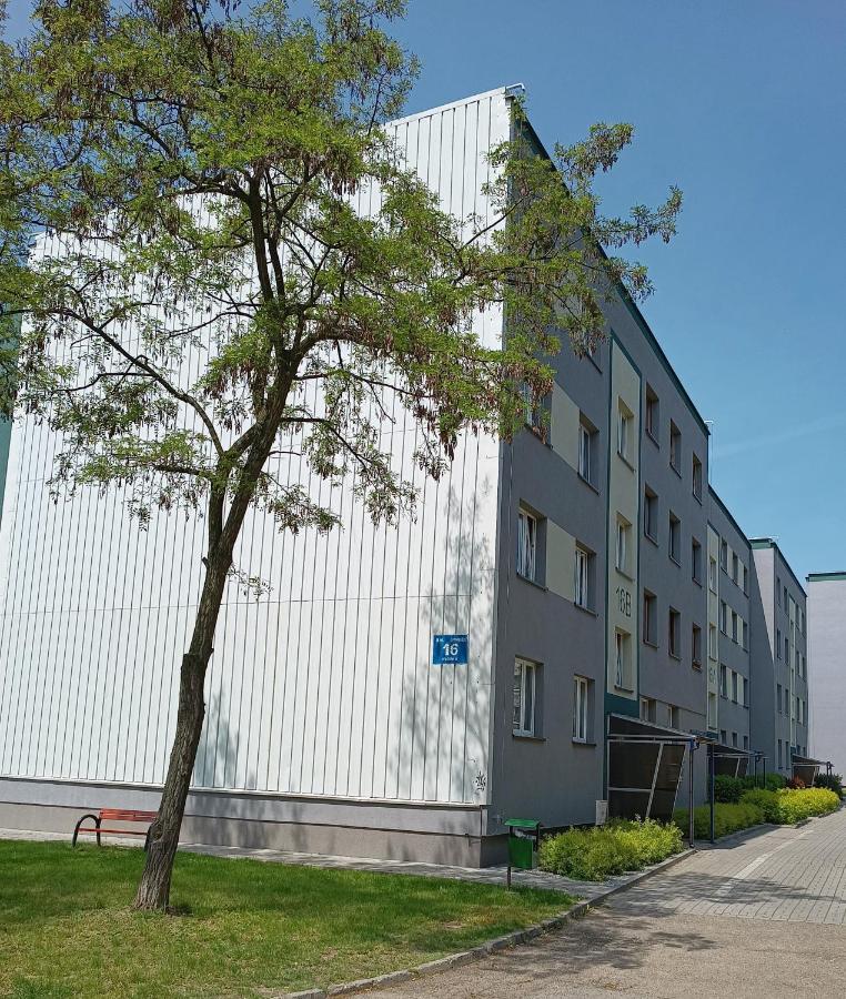 Bursztynowy Apartament Тарновськє-Гури Екстер'єр фото