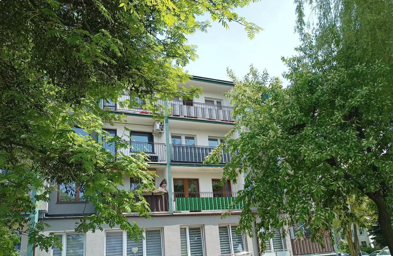 Bursztynowy Apartament Тарновськє-Гури Екстер'єр фото